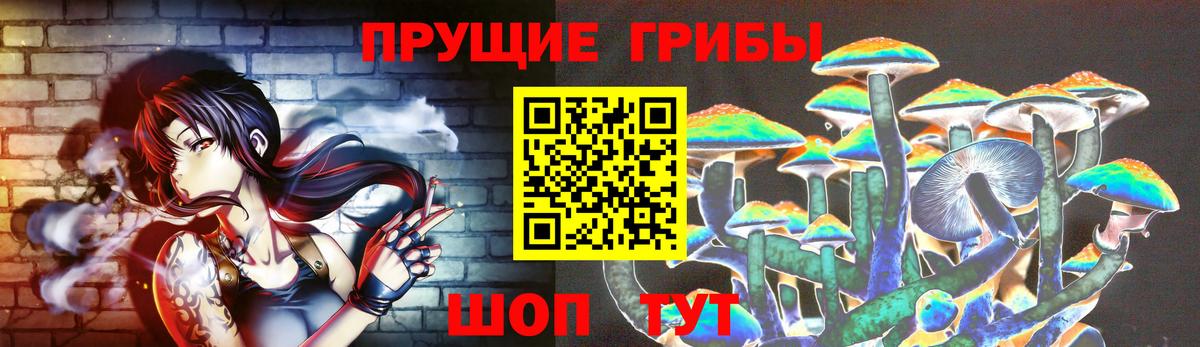 Фрязино  Псилоцибиновые грибы Psilocybe  Вход с VPN 