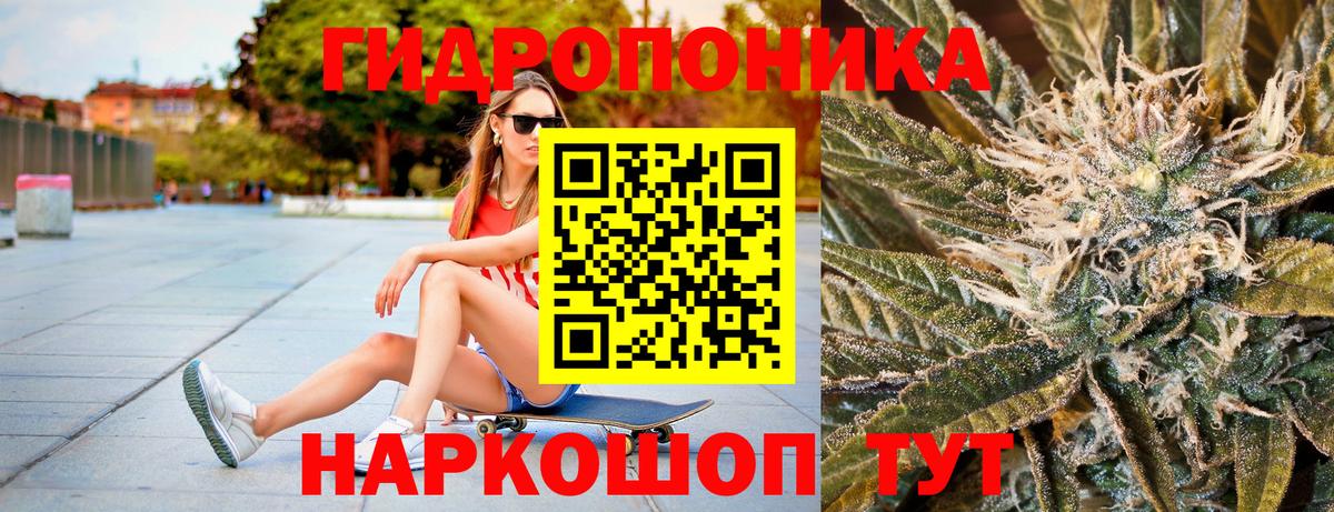Конопля семена  Канабис ГИДРОПОН  Вход с VPN  Фрязино  Конопля Ganja 